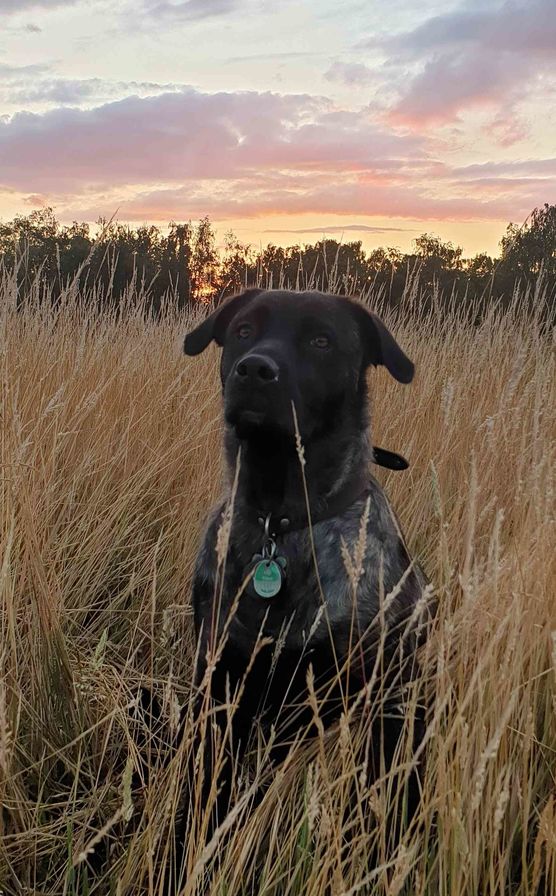 Bild von schönimpott Bild von schönimpott