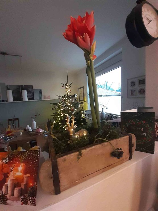 Bild von schönimpott Bild von schönimpott