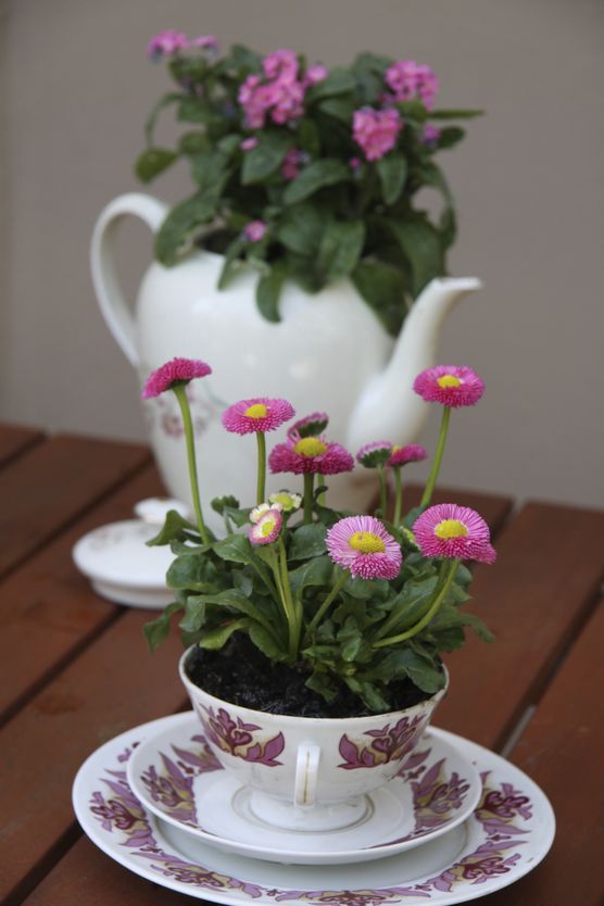 Mein (Kinder-) Garten Mein (Kinder-) Garten