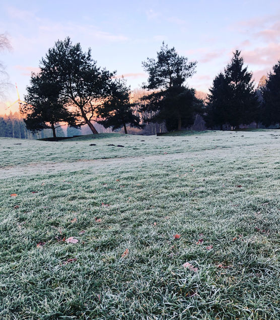 Die wunderschöne Stille der Die wunderschöne Stille der