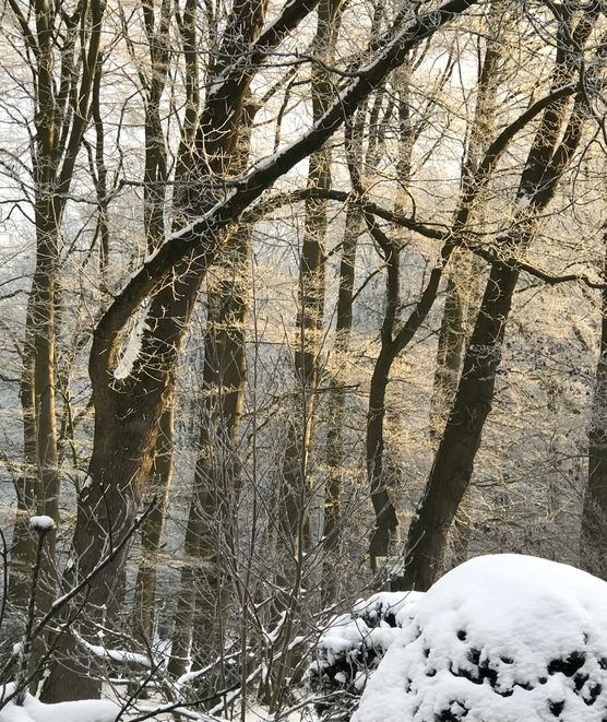 Blick aus dem Küchenfenster; Blick aus dem Küchenfenster;