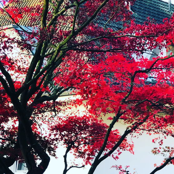 Farbklecks! - Es dauert Farbklecks! - Es dauert