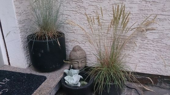 bewachter Hintereingang ☺️ bewachter Hintereingang ☺️