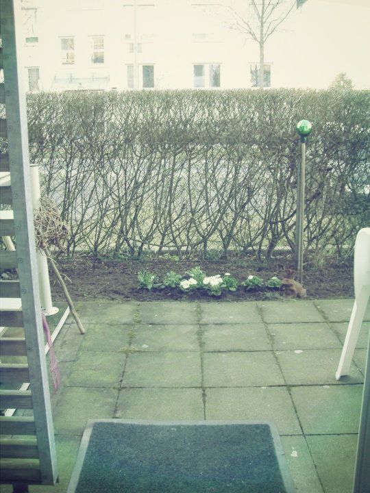 Hauch von Frühling Hauch von Frühling