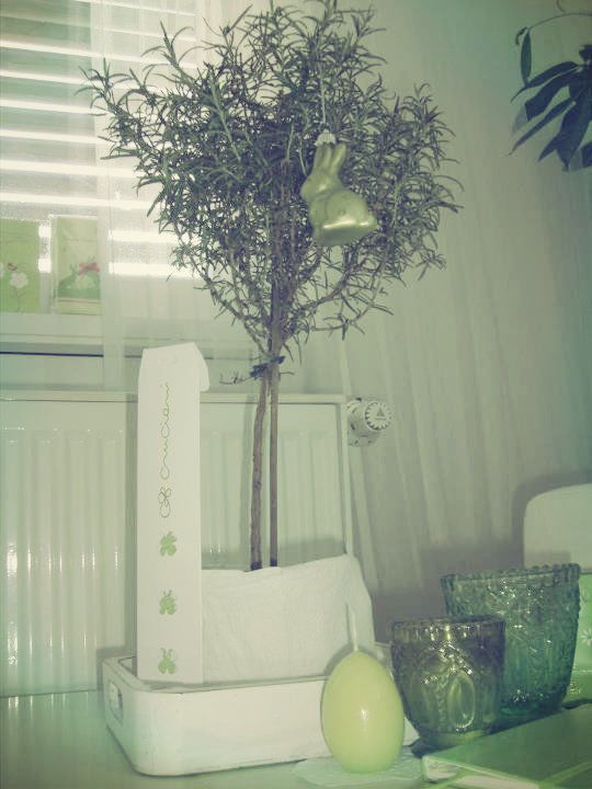 Grüner Frühling Grüner Frühling