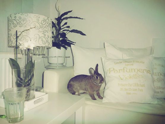 Ostern 2014 Ostern 2014