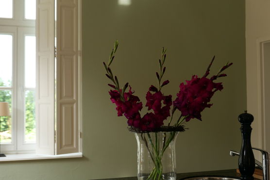 Vom Feld frisch in Vom Feld frisch in