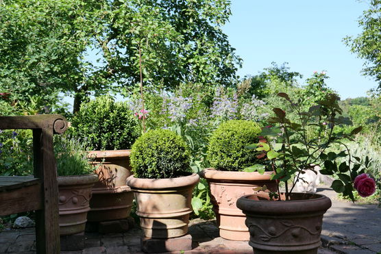 Ich mag die Kugeln Ich mag die Kugeln