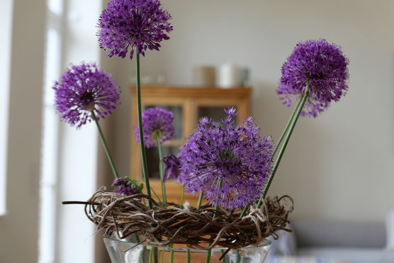 Kranz selbst gebunden aus Kranz selbst gebunden aus