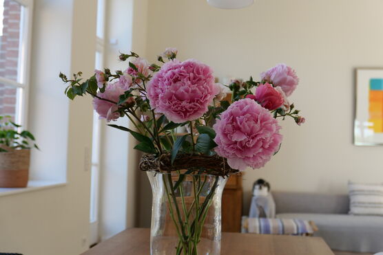 Habe ich alles im Habe ich alles im