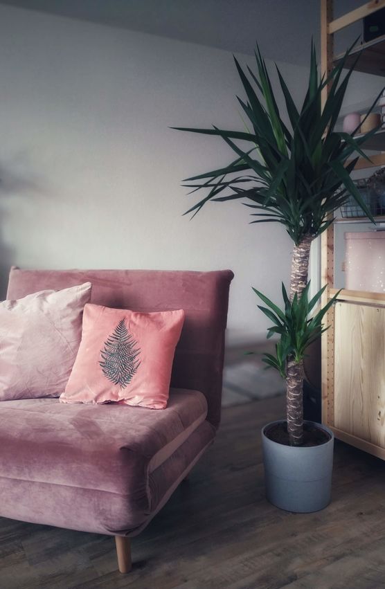 Meine Yucca Palme macht Meine Yucca Palme macht