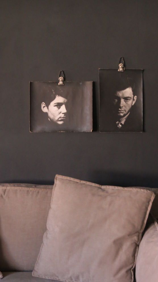 Black Beauty Black Beauty