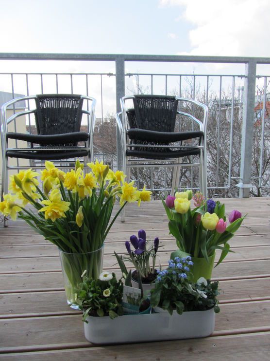 Der Frühling kann kommen Der Frühling kann kommen