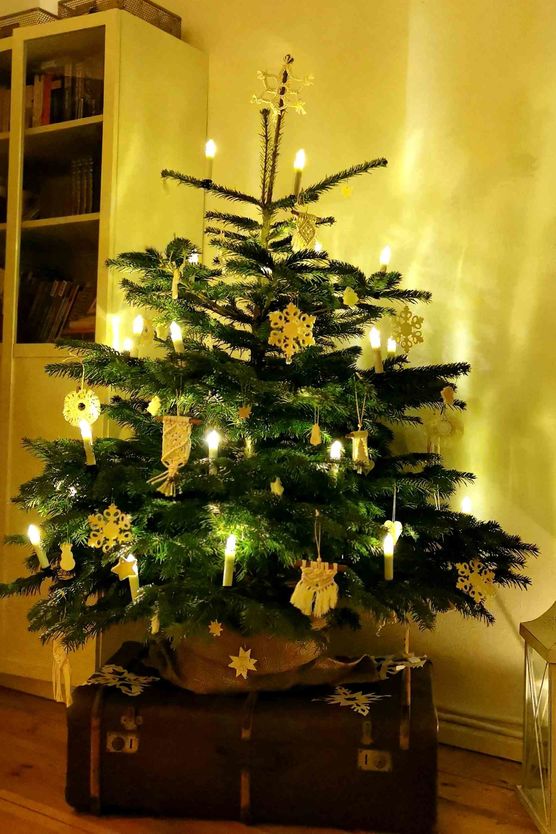 Bild von haeckchen09 Bild von haeckchen09