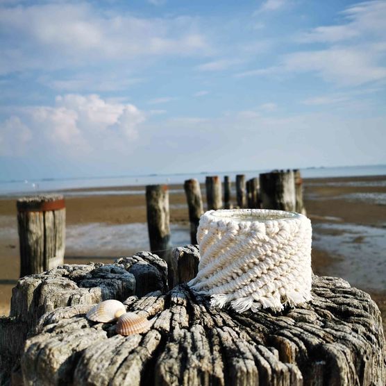 Bild von haeckchen09 Bild von haeckchen09