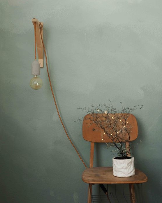 Bild von C.arotter Bild von C.arotter