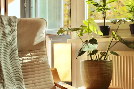 Zur nutze ich jeden Zur nutze ich jeden