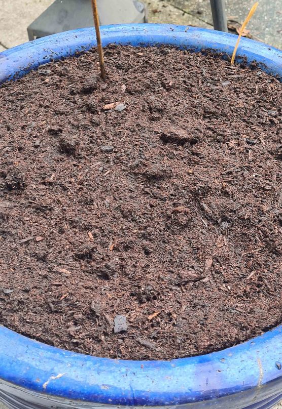 Bild von Primel76 Bild von Primel76