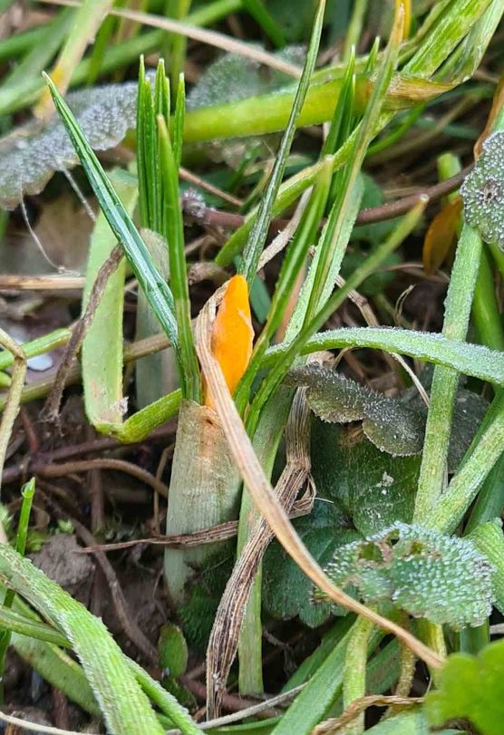 Bild von Primel76 Bild von Primel76