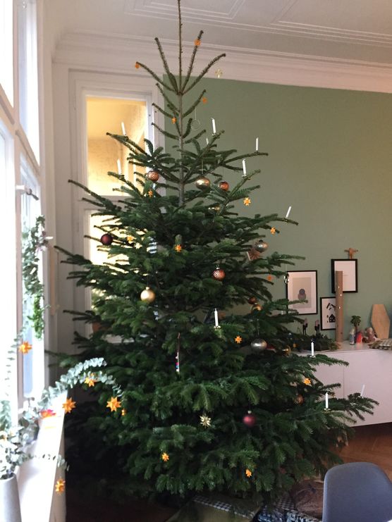 Unser Weihnachtsbaum steht noch... Unser Weihnachtsbaum steht noch...