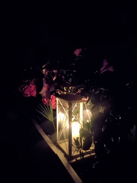 Bild von carina1 Bild von carina1