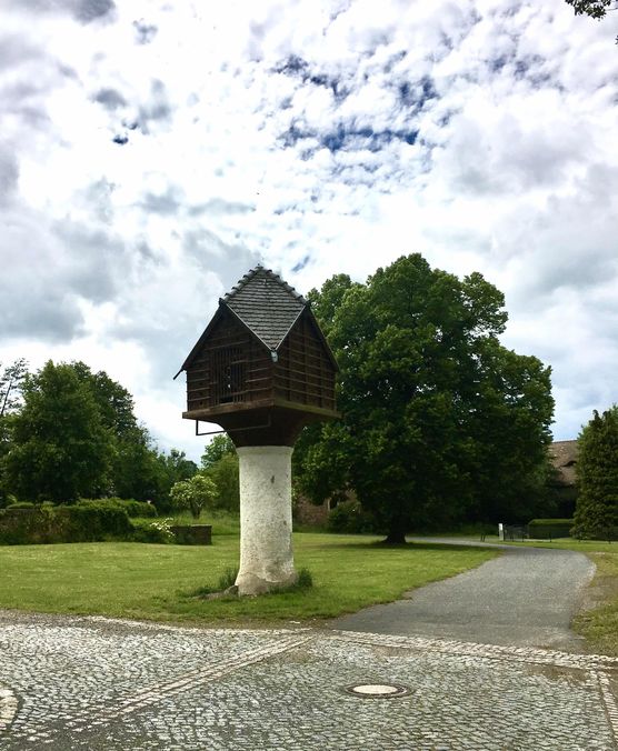 Bild von meins.nichtseins Bild von meins.nichtseins