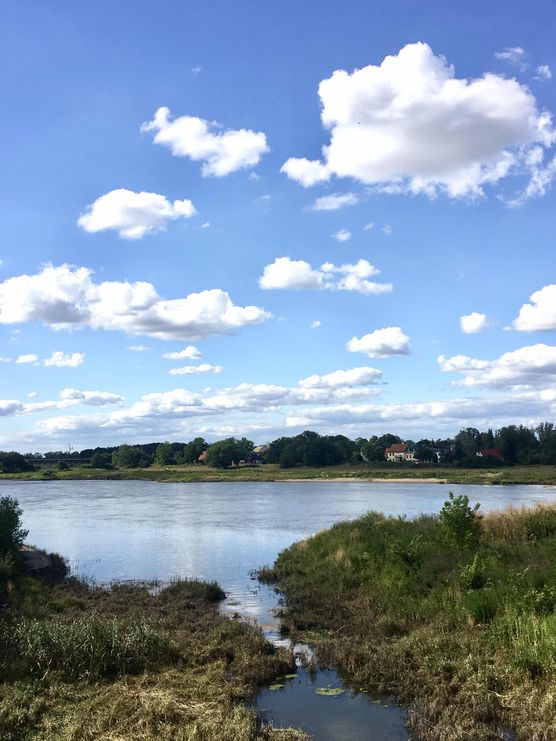 Bild von meins.nichtseins Bild von meins.nichtseins