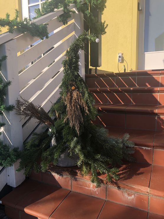 Gimli, unser Weihnachtswichtel Gimli, unser Weihnachtswichtel