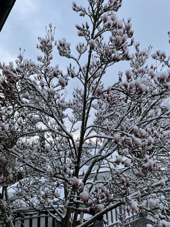 Duell der Jahreszeiten - Duell der Jahreszeiten -