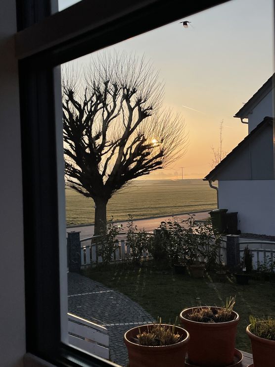 Morgensonne über dem Hochwasserdamm Morgensonne über dem Hochwasserdamm