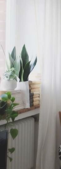 gedankenvoll gedankenvoll