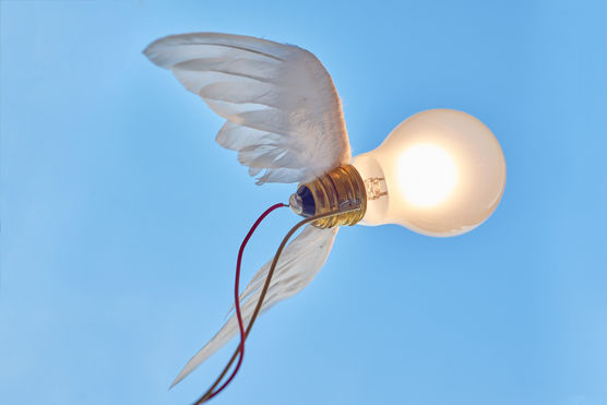 Lucellino fliegt durch die Lucellino fliegt durch die