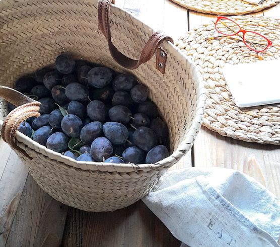 unser netter Nachbar Erich unser netter Nachbar Erich