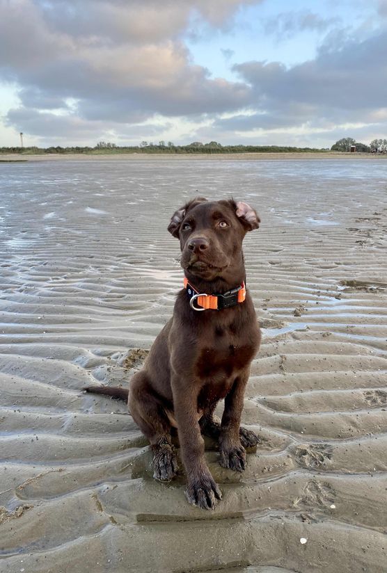 Bild von Bullerbü Bild von Bullerbü