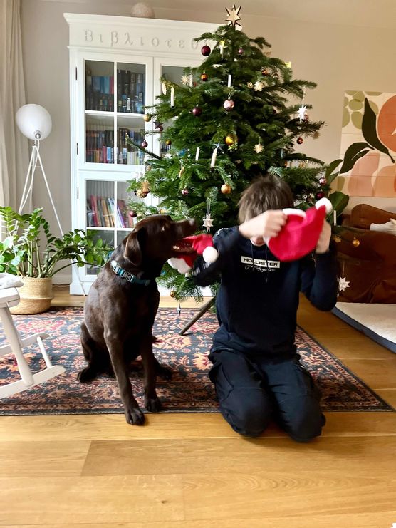 Bild von Bullerbü Bild von Bullerbü