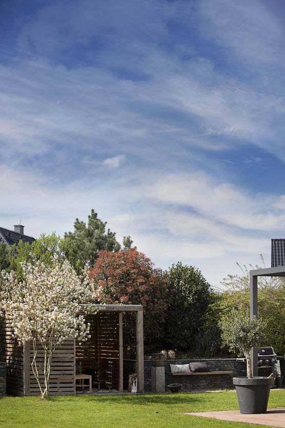 Gerstern, durften wir diesen Gerstern, durften wir diesen