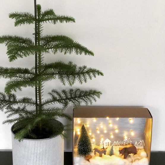 Bild von zahnfee-xy Bild von zahnfee-xy