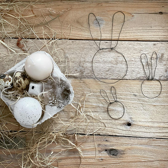 Bild von zahnfee-xy Bild von zahnfee-xy