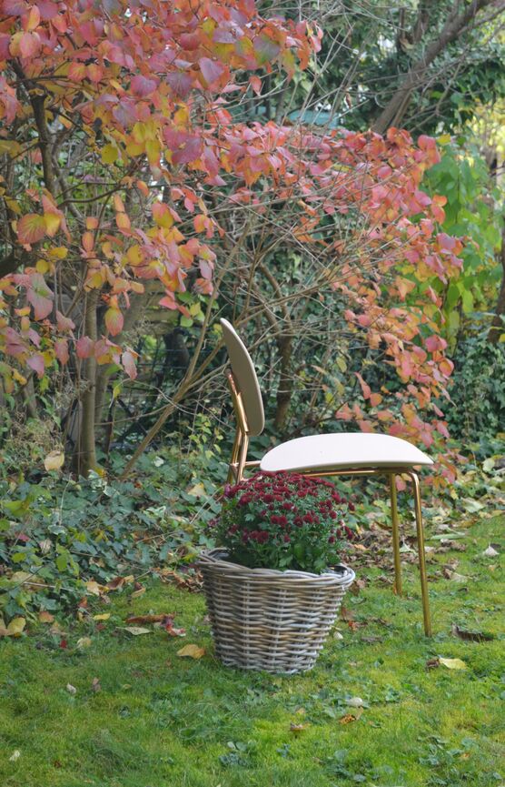 ▪️Ein letzter Blick▪️
in den ▪️Ein letzter Blick▪️
in den