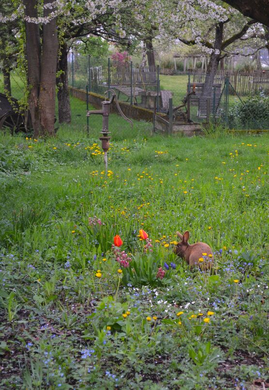 ▪️Tierisch schöner Landfrühling▪️
Muss Euch ▪️Tierisch schöner Landfrühling▪️
Muss Euch