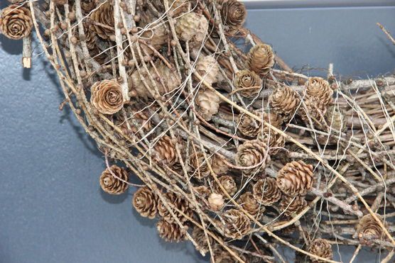 ... Detailaufnahme ... Detailaufnahme