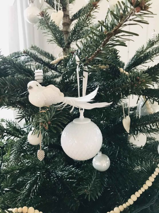 Bild von Ailuj Bild von Ailuj