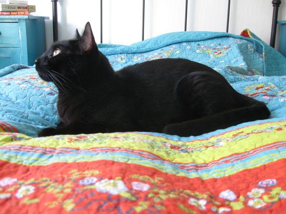 Die Schönste im ganzen Viertel! ☺️ Die Schönste im ganzen Viertel! ☺️