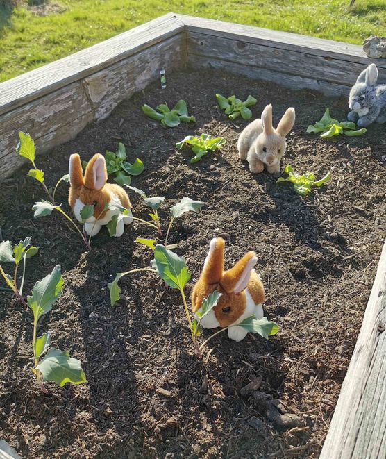 Bild von Geiserich Bild von Geiserich