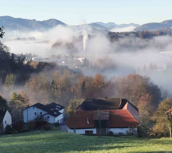 Bild von Geiserich Bild von Geiserich