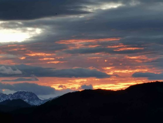 Bild von Geiserich Bild von Geiserich