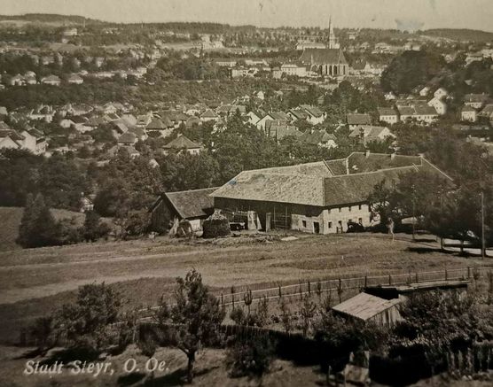 Bild von Geiserich Bild von Geiserich