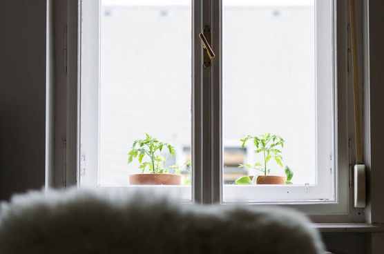 Drinnen kuschelig, draußen Grün Drinnen kuschelig, draußen Grün