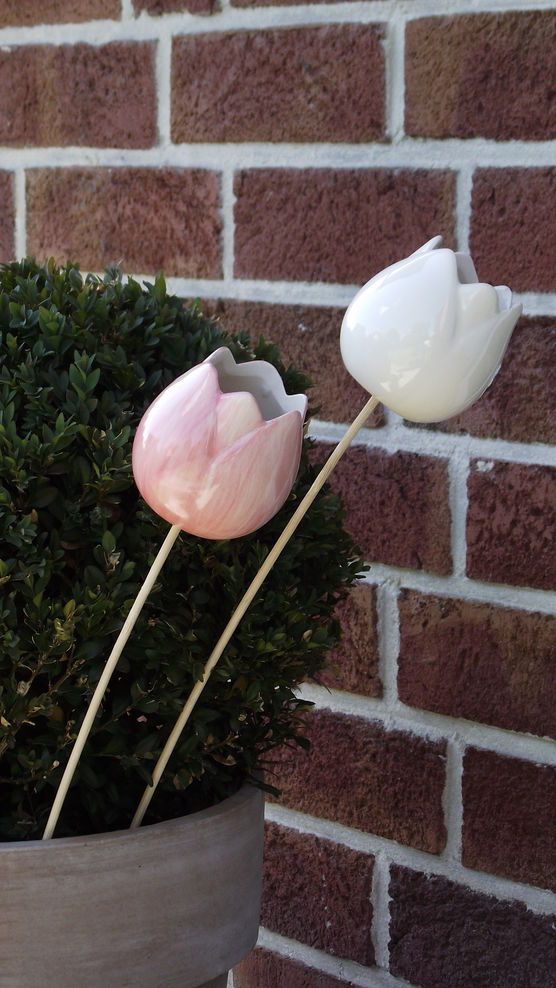 Gartenfieber Gartenfieber