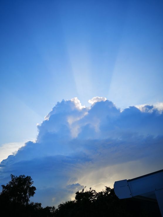 Im Garten sitzen und Im Garten sitzen und